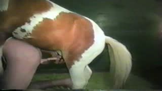 Конь и женщина - откровенное зоо порно