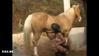 На ферме русский ебет таджичку, а она сосет хуй коню | Секс с животными